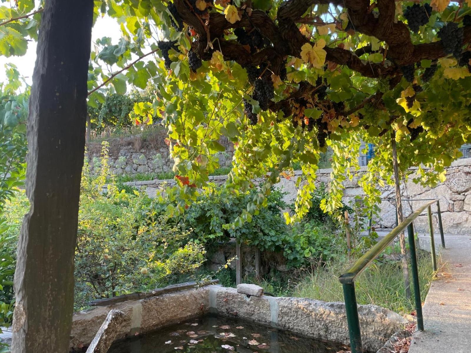 Vila Quintinha De Pinouco Resende Exteriér fotografie
